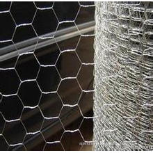 Chicken Wire Netting, Hexagonal Wire Netting, Poultry Mesh